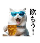 夏☆にゃんこ（個別スタンプ：21）