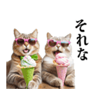 夏☆にゃんこ（個別スタンプ：24）