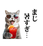 夏☆にゃんこ（個別スタンプ：30）