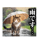 夏☆にゃんこ（個別スタンプ：33）
