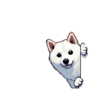 無言で伝える白柴 リアクション（個別スタンプ：2）