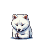 無言で伝える白柴 リアクション（個別スタンプ：8）