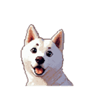 無言で伝える白柴 リアクション（個別スタンプ：23）