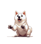 無言で伝える白柴 リアクション（個別スタンプ：25）