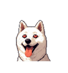 無言で伝える白柴 リアクション（個別スタンプ：32）