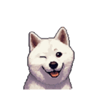 無言で伝える白柴 リアクション（個別スタンプ：33）