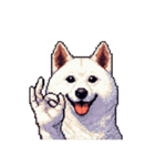 無言で伝える白柴 リアクション（個別スタンプ：38）