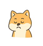 暴走する柴犬の日常（個別スタンプ：3）