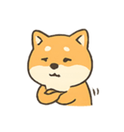 暴走する柴犬の日常（個別スタンプ：8）
