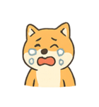 暴走する柴犬の日常（個別スタンプ：10）