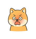 暴走する柴犬の日常（個別スタンプ：12）