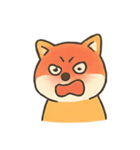 暴走する柴犬の日常（個別スタンプ：13）