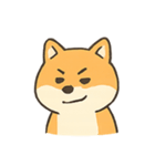 暴走する柴犬の日常（個別スタンプ：16）