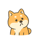 暴走する柴犬の日常（個別スタンプ：17）