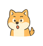 暴走する柴犬の日常（個別スタンプ：19）