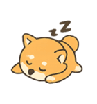 暴走する柴犬の日常（個別スタンプ：20）