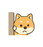 暴走する柴犬の日常（個別スタンプ：22）