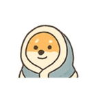 暴走する柴犬の日常（個別スタンプ：24）