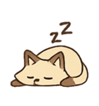 ふしぎなコジくんの日常（個別スタンプ：23）
