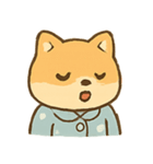 パジャマ柴犬のぐうたら生活（個別スタンプ：13）