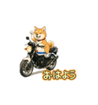 芝犬とバイクの動くスタンプ（個別スタンプ：2）
