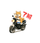 芝犬とバイクの動くスタンプ（個別スタンプ：4）