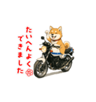 芝犬とバイクの動くスタンプ（個別スタンプ：5）