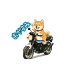 芝犬とバイクの動くスタンプ（個別スタンプ：7）
