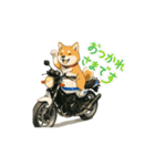芝犬とバイクの動くスタンプ（個別スタンプ：8）