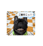 動くマチャド1（個別スタンプ：3）