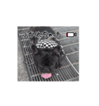 動くマチャド1（個別スタンプ：11）