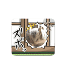 動くハム＆ごま（個別スタンプ：5）