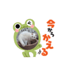 動くスタンプみゃぁ猫ファミリー①（個別スタンプ：3）