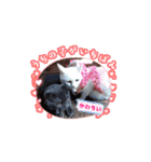 動くスタンプみゃぁ猫ファミリー①（個別スタンプ：14）