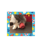 ニャンズ7（個別スタンプ：2）