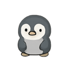 社恐ペンギンPipiのサバイバル日常（個別スタンプ：1）