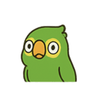 困惑インコくんの毎日ぽかん（個別スタンプ：1）