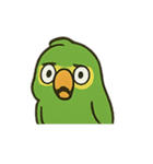 困惑インコくんの毎日ぽかん（個別スタンプ：5）