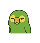 困惑インコくんの毎日ぽかん（個別スタンプ：9）