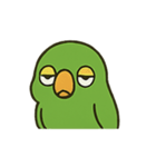 困惑インコくんの毎日ぽかん（個別スタンプ：10）