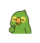 困惑インコくんの毎日ぽかん（個別スタンプ：11）