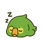 困惑インコくんの毎日ぽかん（個別スタンプ：12）
