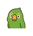 困惑インコくんの毎日ぽかん（個別スタンプ：13）