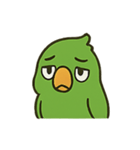 困惑インコくんの毎日ぽかん（個別スタンプ：14）