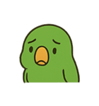 困惑インコくんの毎日ぽかん（個別スタンプ：15）