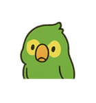 困惑インコくんの毎日ぽかん（個別スタンプ：16）