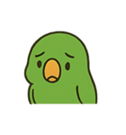 困惑インコくんの毎日ぽかん（個別スタンプ：17）