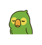 困惑インコくんの毎日ぽかん（個別スタンプ：19）