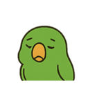 困惑インコくんの毎日ぽかん（個別スタンプ：20）
