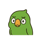 困惑インコくんの毎日ぽかん（個別スタンプ：21）